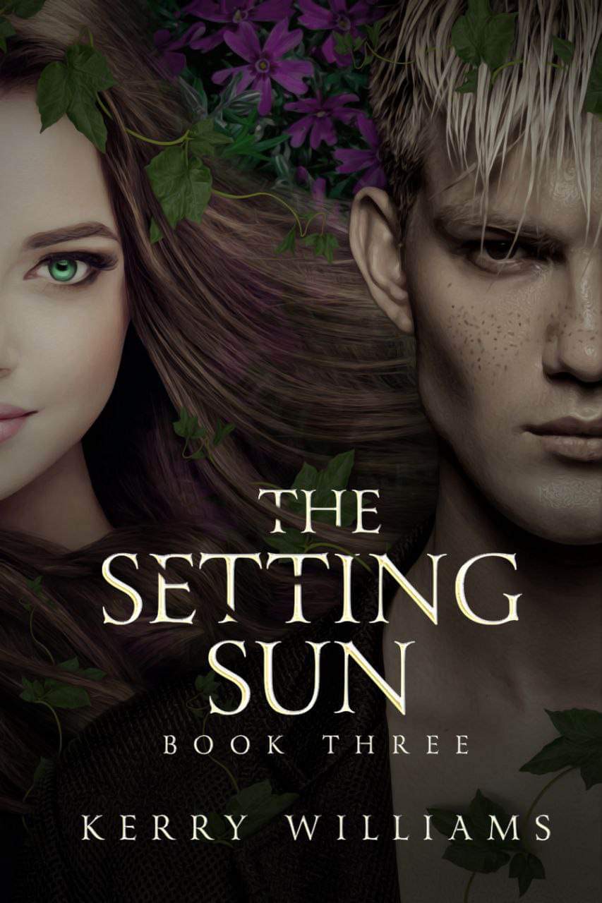 The Setting Book Sun Cover